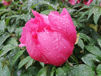 Similar image 22770690