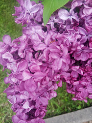 Similar image 22770691