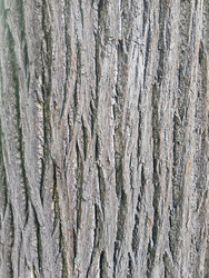 Similar image 22770695