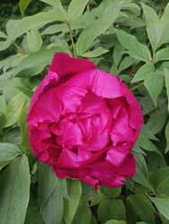 Similar image 22770696