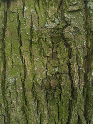 Similar image 22770697