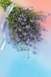 Similar image 22770639