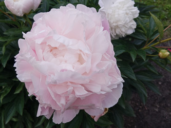 Similar image 22770699