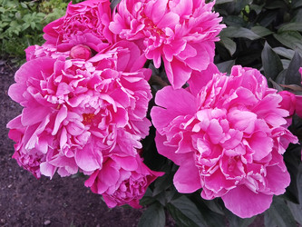 Similar image 22770701