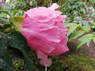 Similar image 22770702