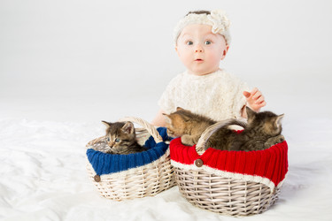 Удивленная малышка в белом меховом одеянии с двумя корзинками, в которых лежат маленькие котята - paha_l