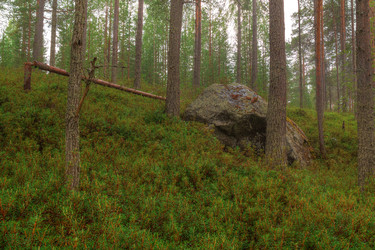 Similar image 22785559