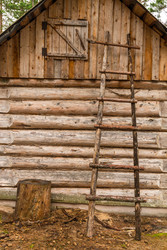 Similar image 22781061