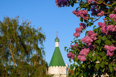 Similar image 22773309