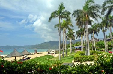 Similar image 22782510