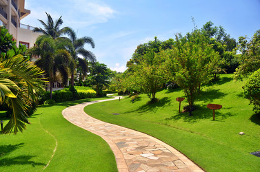 Similar image 22782514