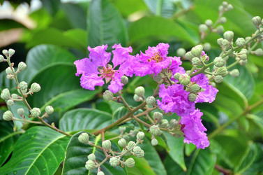 Similar image 22782515
