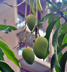 Similar image 22782518