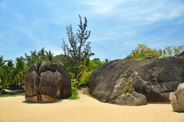 Similar image 22782519