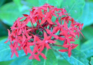 Similar image 22782523