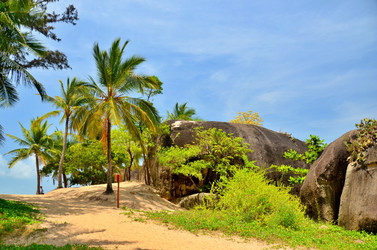 Similar image 22782547