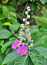 Similar image 22782549