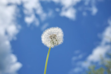 Similar image 22785442
