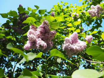 Similar image 22782360