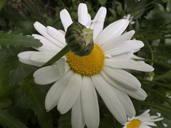 Similar image 22771950