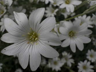 Similar image 22771955