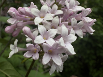Similar image 22771957