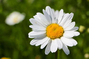 Similar image 22785395