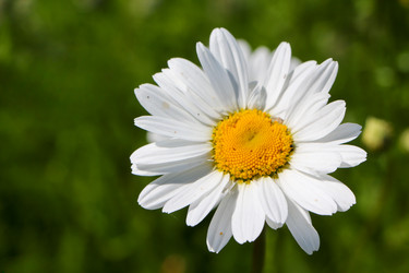 Similar image 22785413