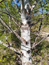Similar image 22774884