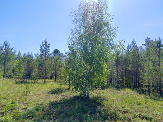 Similar image 22774887