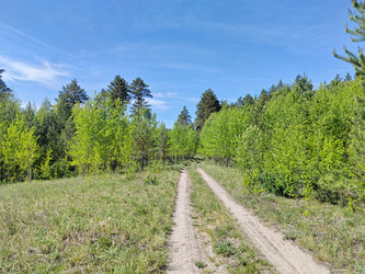 Similar image 22774889