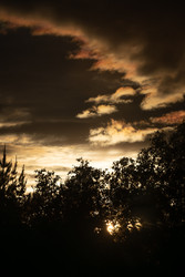 Similar image 22780741