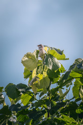 Similar image 22780750