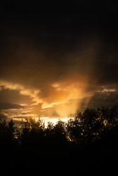 Similar image 22780753