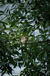 Similar image 22780757