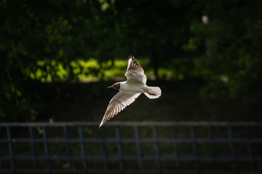 Similar image 22780767