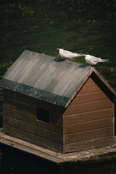 Similar image 22780769