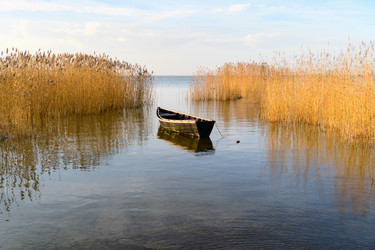 Similar image 22780418
