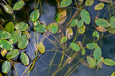 Similar image 22780455