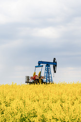 Similar image 22780459