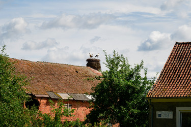 Similar image 22780460