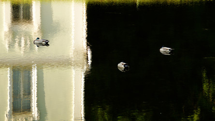 Similar image 22774834