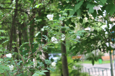 Similar image 22773321