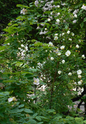 Similar image 22773322