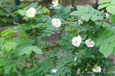 Similar image 22778220