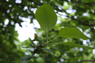 Similar image 22778240