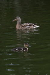 Similar image 22777952