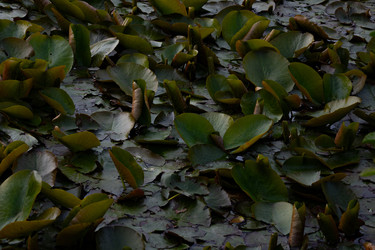 Similar image 22777980
