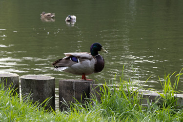 Similar image 22777990
