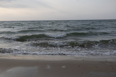 Similar image 22778012